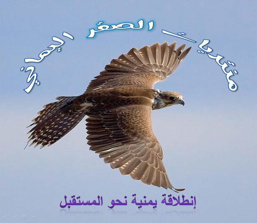 قناه الصقر المباشر للكوميديا اليمنيه - صفحة 2 Caoace10